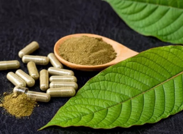 obrázek kratomu